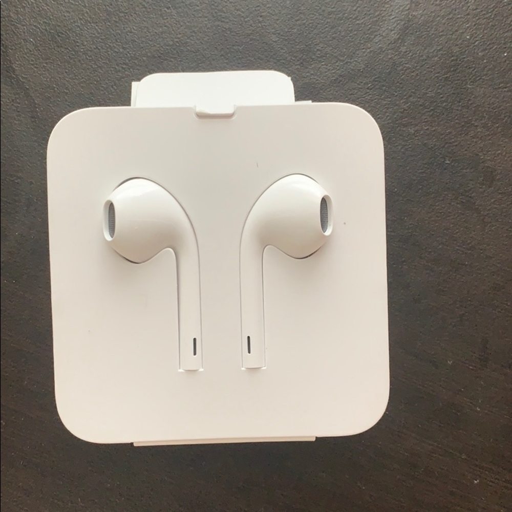 Apple earphones